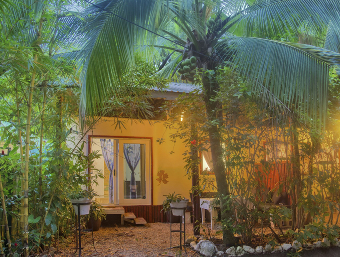 Exterior & Views 2, Jungle's Edge: Jiu-Jitsu, Muay Thai & Yoga Retreats, Nicoya