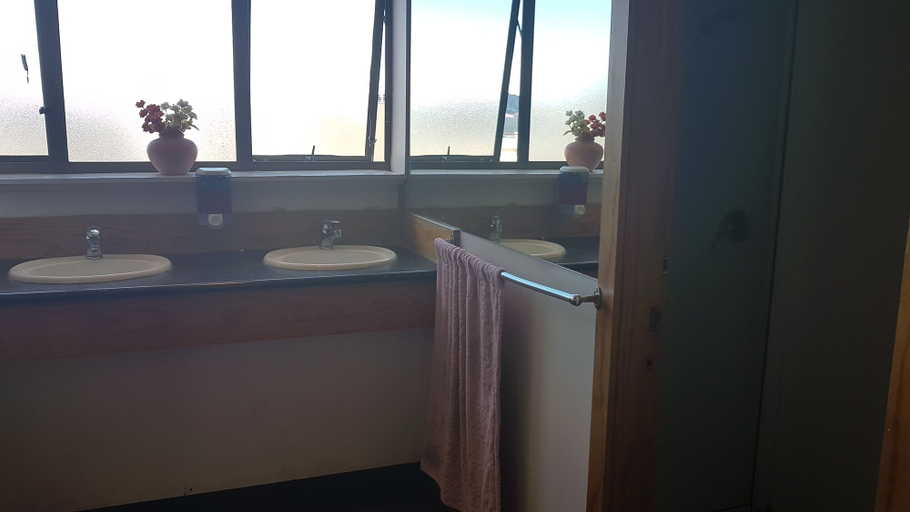Bathroom 4, Wild Zebra Backpackers, Wellington