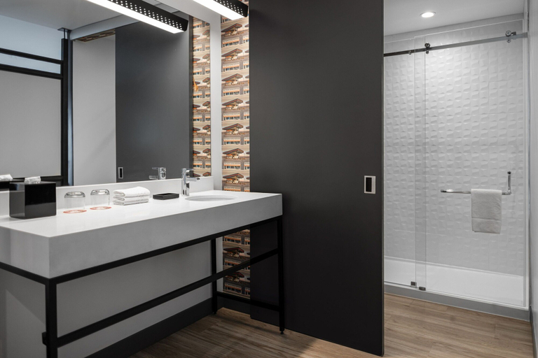 Bathroom 4, Aloft by Marriott San Pedro Sula, San Pedro Sula