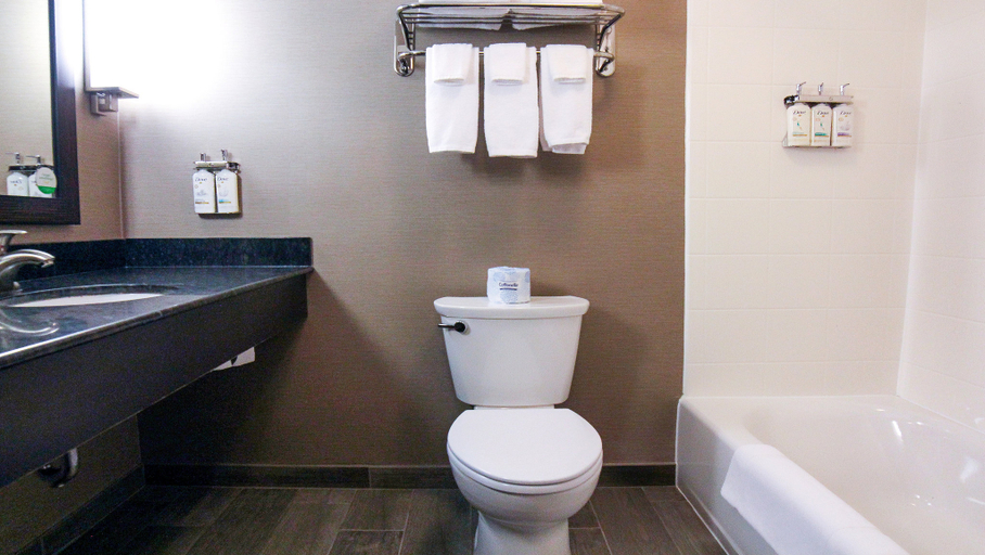 Bathroom 3, Holiday Inn Owensboro Riverfront, Daviess