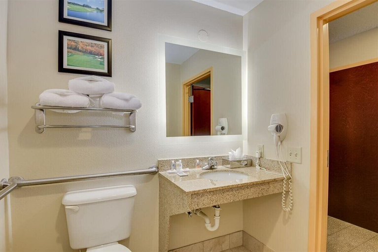 Bathroom 4, Comfort Inn & Suites Augusta Fort Gordon Area, Richmond