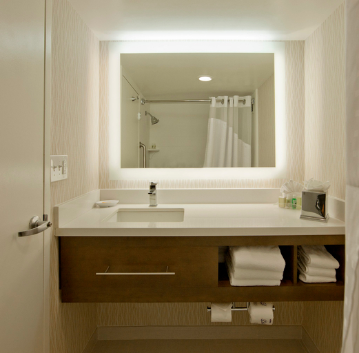 Bathroom 4, Holiday Inn WASHINGTON-CENTRAL/WHITE HOUSE by IHG, Washington D.C.