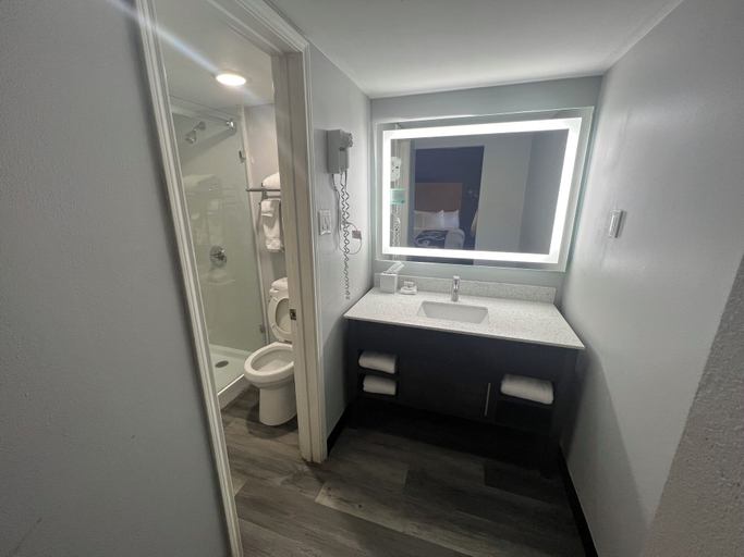 Bathroom 5, La Quinta Inn by Wyndham Amarillo Mid-City, Potter