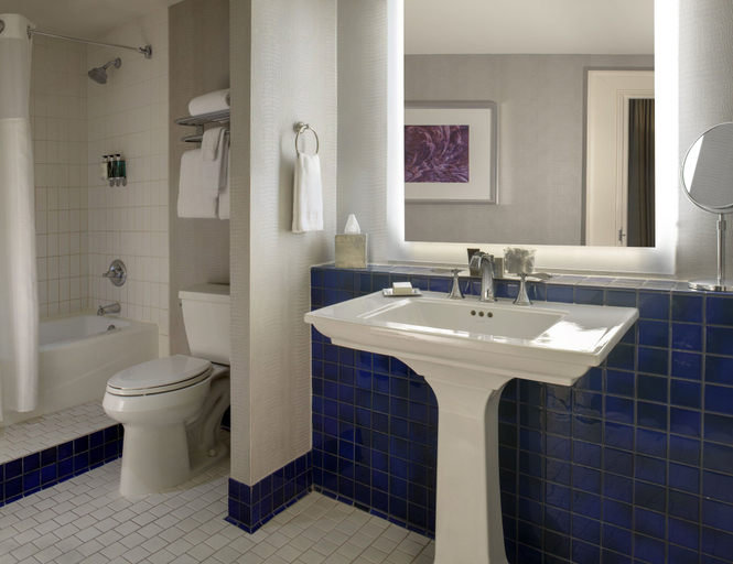 Bathroom 4, The Ashton Hotel, Fort Worth