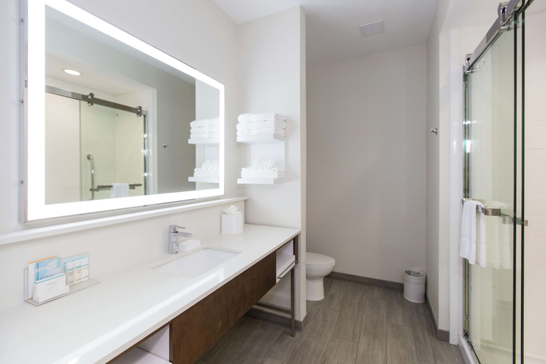 Bathroom 4, Hampton Inn Mustang, Canadian