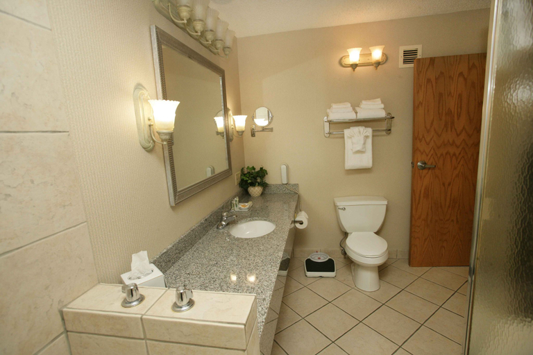 Bathroom 5, Holiday Inn RIVERTON-CONVENTION CENTER by IHG, Fremont