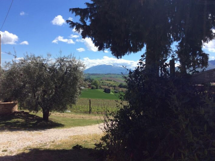 Others 5, Agriturismo Terre Vineate, Ascoli Piceno