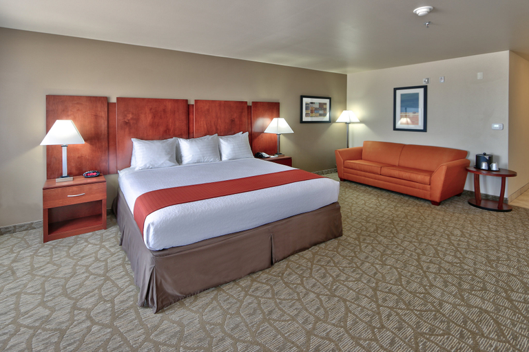 Bedroom 4, Holiday Inn ROSWELL by IHG, Chaves