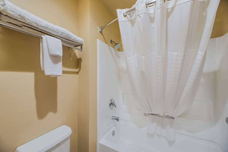 Bathroom 3, SureStay Plus Hotel by Best Western Silver City, Grant