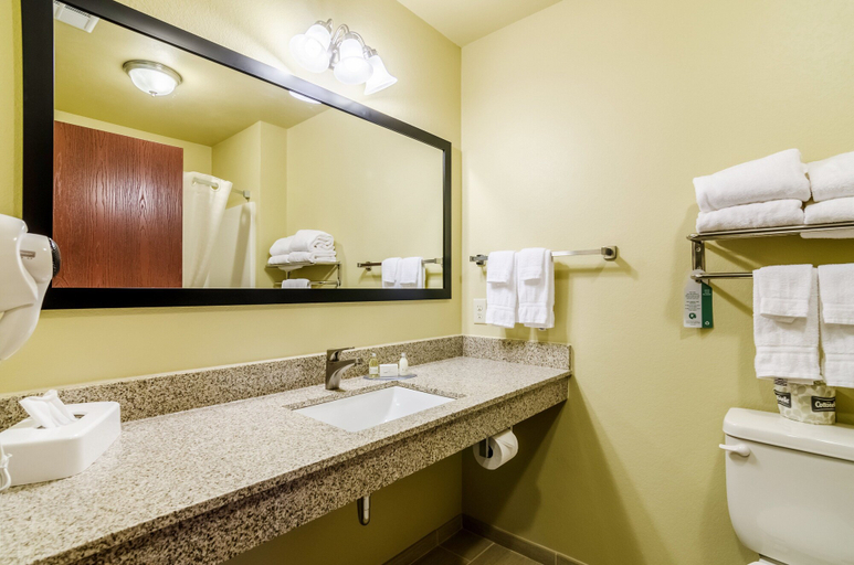 Bathroom 3, Cobblestone Inn & Suites - Oberlin, Decatur