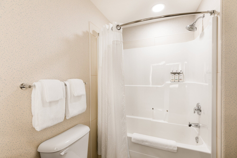 Bathroom 4, Holiday Inn Express & Suites Grande Prairie by IHG, Division No. 19