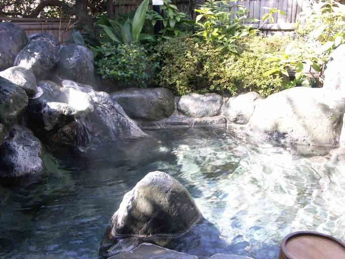 Sport & Beauty 5, Ryokan Hanareya Ishidaya, Kawazu