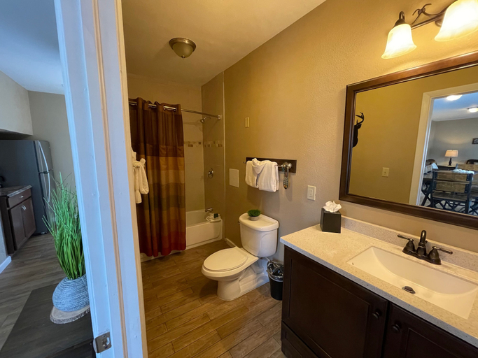 Bathroom 3, Estes Mountain Inn, Larimer