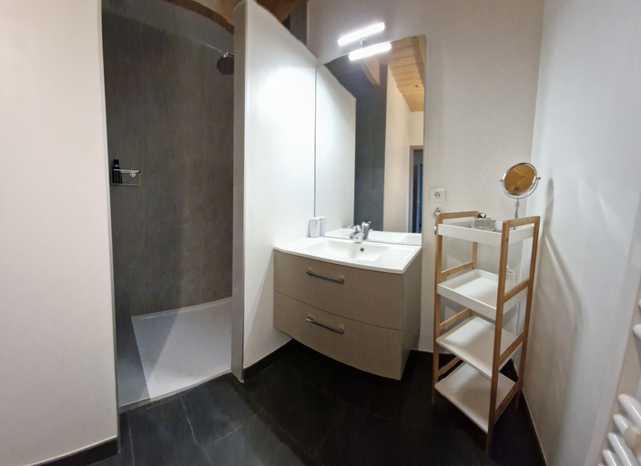 Bathroom 5, Domaine Le Puits du Moulin, Haute-Saône