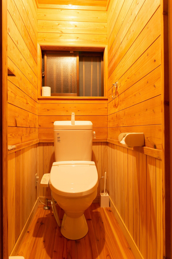 Bathroom 3, Hirauchi Hot Spot, Yakushima