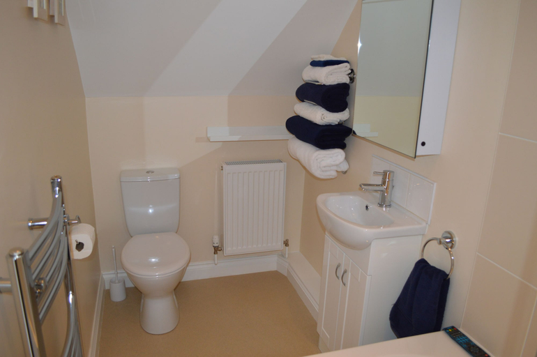 Bathroom 3, Pwll-y-Faedda, Powys