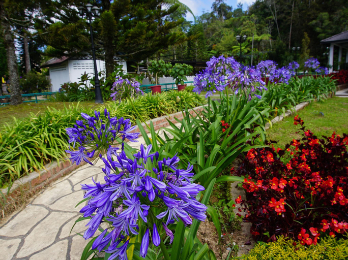Nearby Landmark 3, The Woodz x Trunk (Night Market), Cameron Highlands