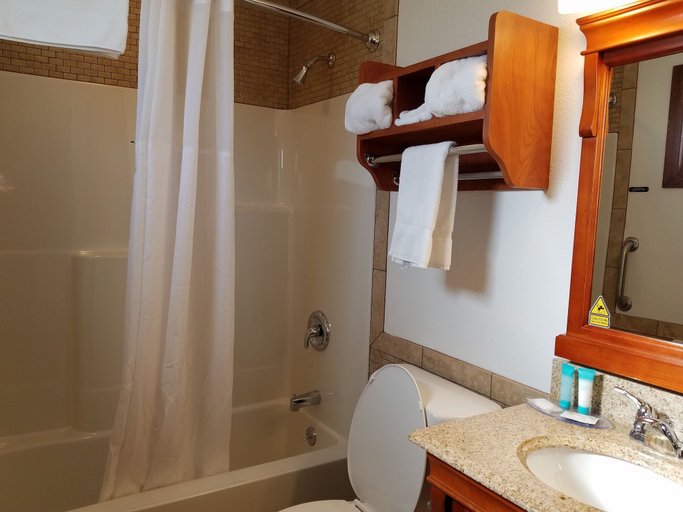 Bathroom 4, Black Hawk Motel and Suites, Columbia