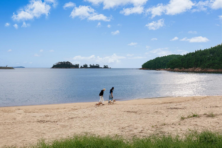 Others 5, Mongsanpo memory pension, Taean