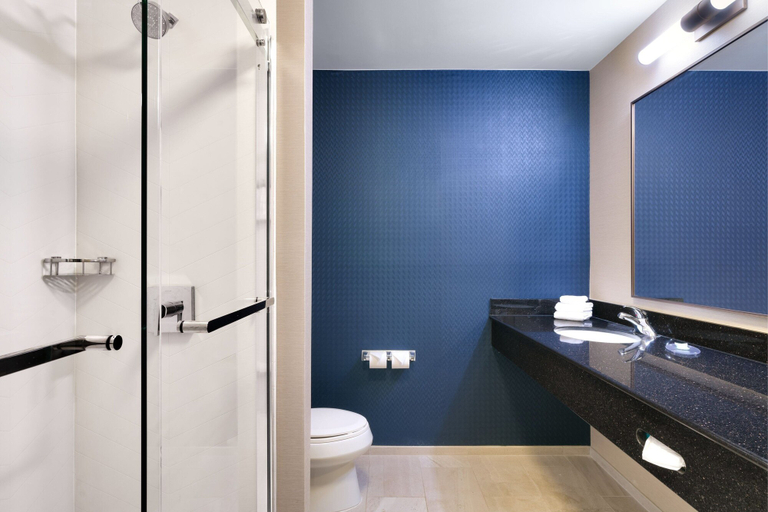 Bathroom 4, Fairfield Inn & Suites by Marriott Albany, Dougherty