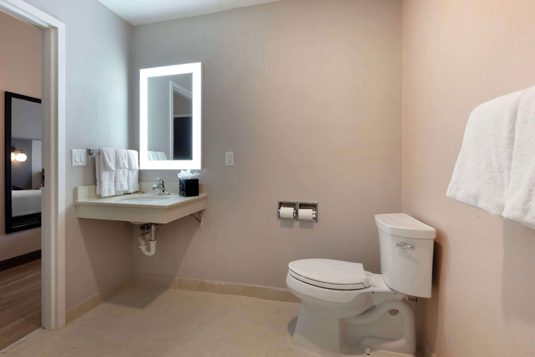 Bathroom 4, Best Western Plus Fort Worth North, Fort Worth