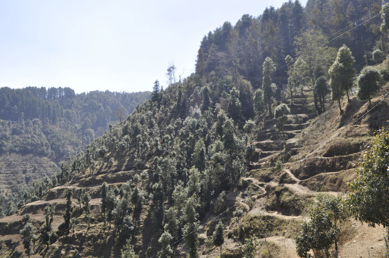 Others 5, Hotel Garden Cottage & Resort Dhanaulti, Tehri Garhwal