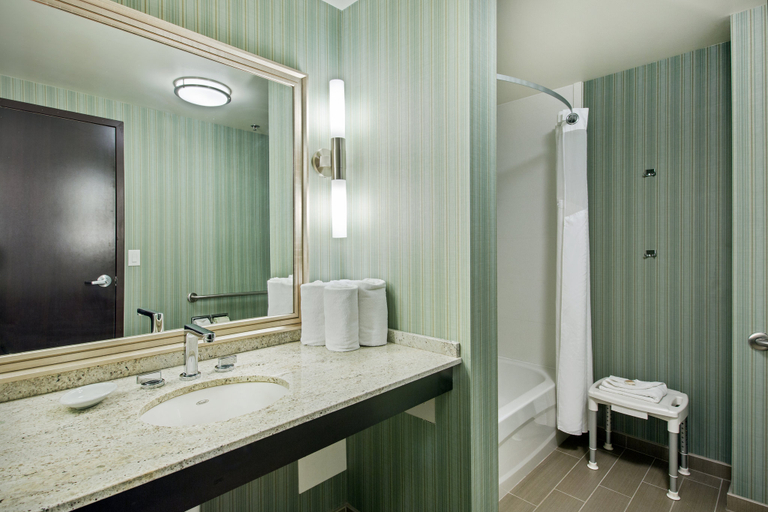 Bathroom 4, Holiday Inn SASKATOON DOWNTOWN by IHG, Division No. 11