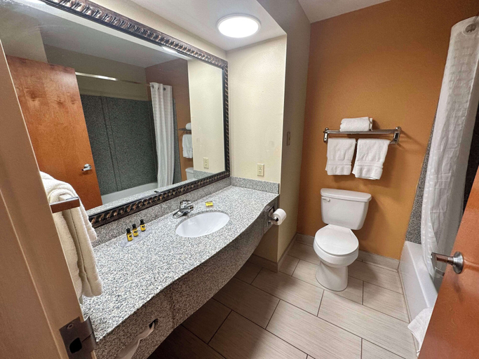 Bathroom 4, Best Western Plus Bass Hotel & Suites, Saint Clair