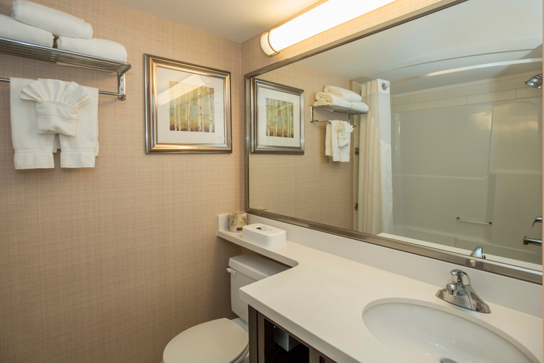 Bathroom 3, Holiday Inn CONFERENCE CTR EDMONTON SOUTH by IHG, Division No. 11