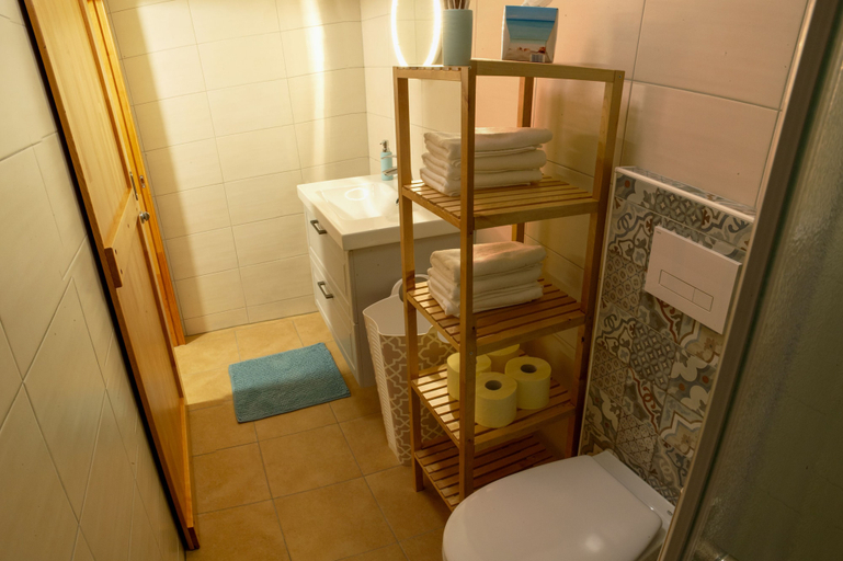 Bathroom 3, Apartments Laznica, Cerkno