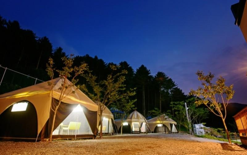 5, Gapyeong Animal Caravan Pension, Gapyeong