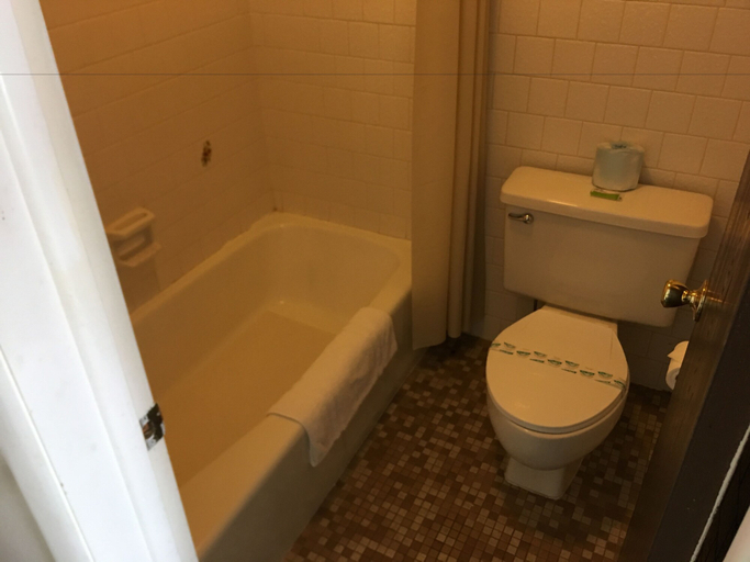 Bathroom 3, Flag's West Motel, Bannock