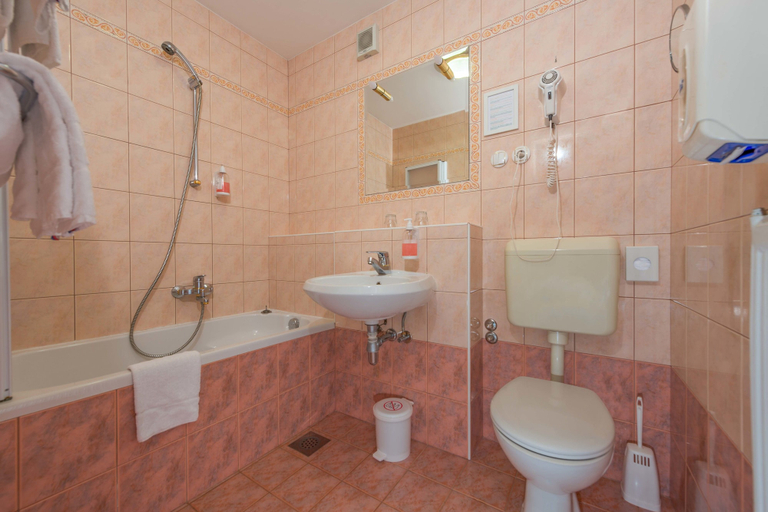 Bathroom 5, Hotel Ribno, Bled