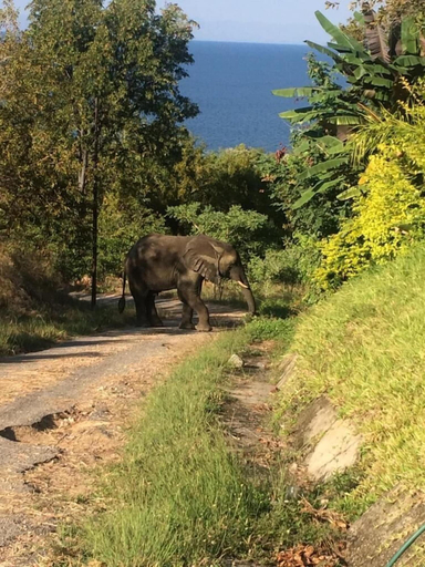 Others 5, Kariba, Kariba