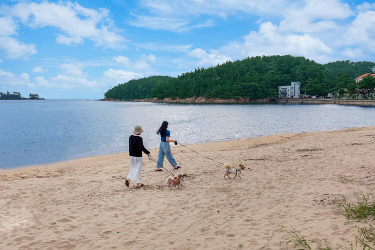 Others 3, Mongsanpo memory pension, Taean