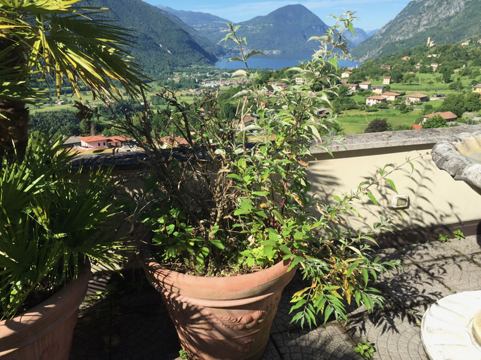 Terrace/patio 4, Penthaus am Luganersee - Comer See, Como