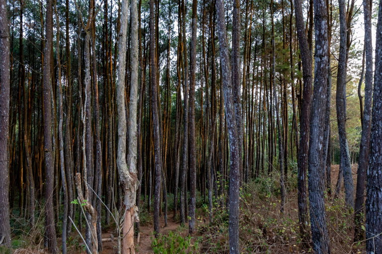Nearby Landmark, Homestay Kurnia, Bantul