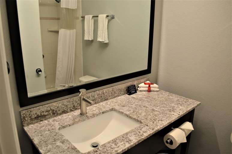 Bathroom 5, Richland Riverfront Hotel and Conference Center, Ascend Hotel Collection, Benton