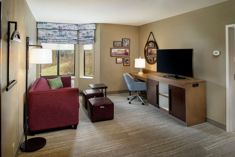 Others 5, Hampton Inn & Suites Binghamton/Vestal, Broome