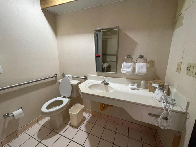 Bathroom 4, Red Roof Inn Branson, Taney