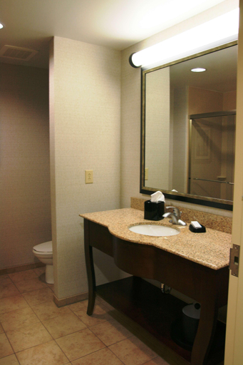 Bathroom 3, Hampton Inn & Suites West Point, Clay