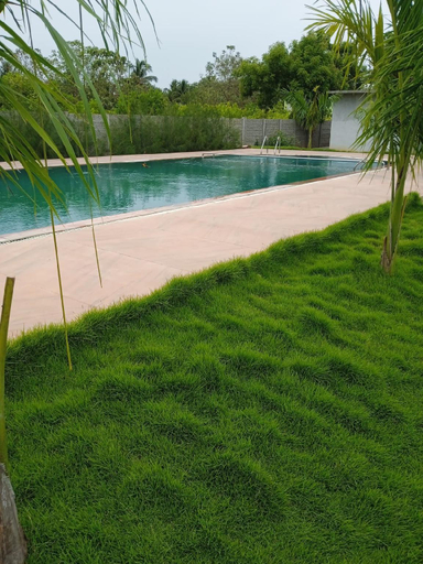 Sport & Beauty, Paradise Forest Resort, Viluppuram