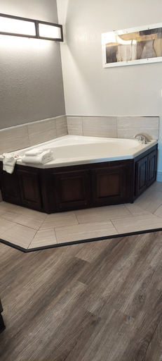 Bathroom 4, Microtel Inn & Suites by Wyndham Hoover/Birmingham, Jefferson