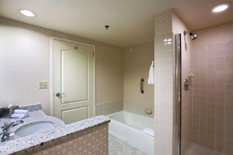 Bathroom 5, Hilton Suites Chicago/Oak Brook, Dupage