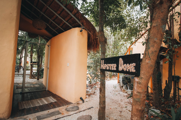 Exterior & Views 2, Hotel Santuario Ekumal by Bossh! Hotels, Cozumel
