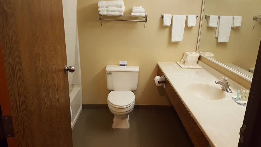 Bathroom, Quality Inn Ozark-Springfield South, Christian