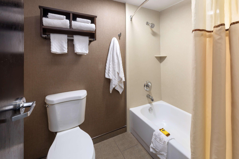 Bathroom 4, Best Western Plus Ramkota Hotel, Minnehaha