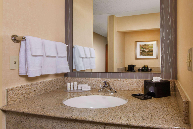 Bathroom 5, Sonesta Select Charlotte University Research Park, Mecklenburg