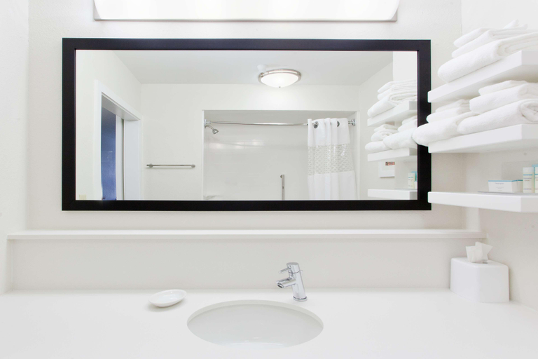 Bathroom 4, Hampton Inn Bremen-I-20 (Carrollton Area), Carroll