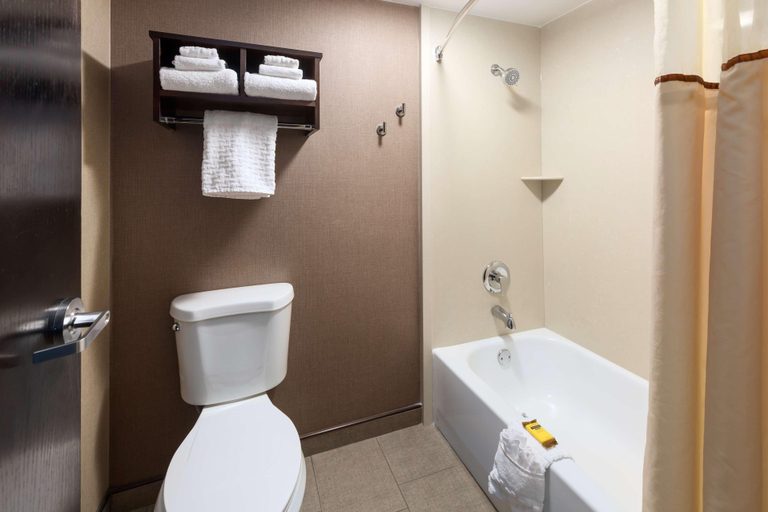 Bathroom 4, Best Western Plus Ramkota Hotel, Minnehaha
